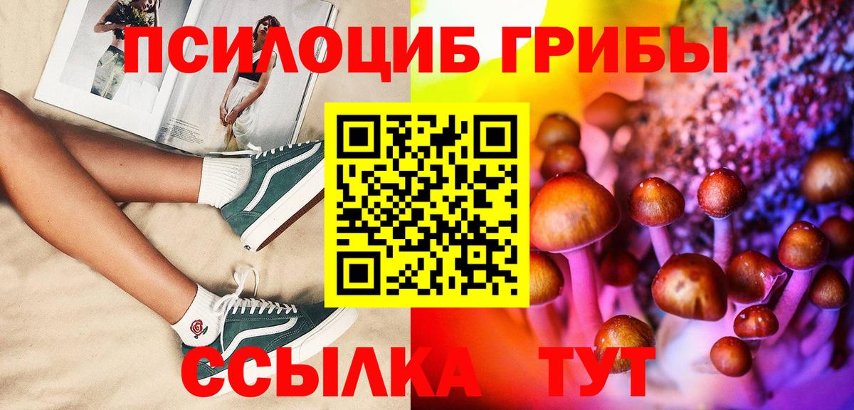 Псилоцибиновые грибы Psilocybine cubensis  Вход с VPN  Боровичи 