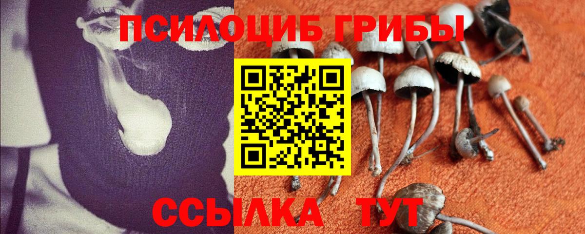 Псилоцибиновые грибы мухоморы Боровичи